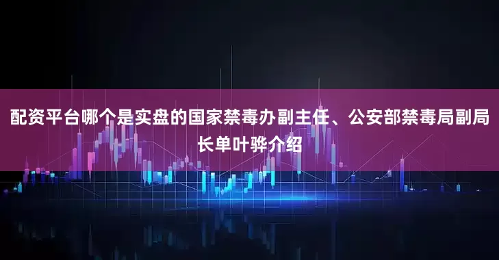 配资平台哪个是实盘的国家禁毒办副主任、公安部禁毒局副局长单叶骅介绍